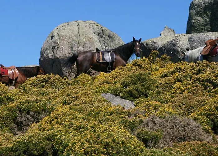 아파트 Coastal View Flat - Amazing Views Over The Atlantic 비아나도카스텔로