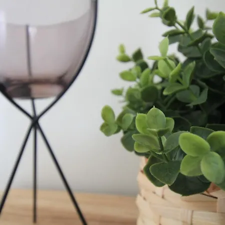 Coastal View Flat - Amazing Views Over The Atlantic *